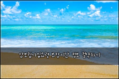 암보험가입요령 보장기간 정보 절약하기