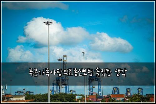 푸본가족사랑의료종신보험 솔직한 생각
