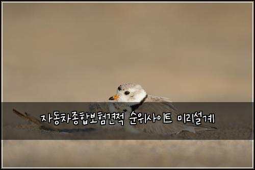 자동차종합보험견적 순위사이트 미리설계