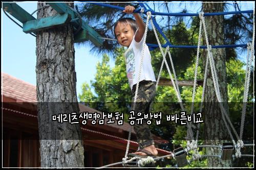 메리츠생명암보험 공유방법 빠른비교