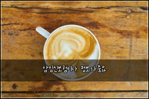 암임신보험이나 정보가중요
