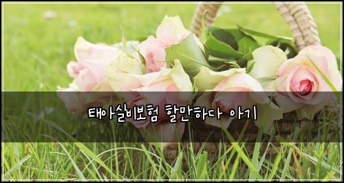 태아실비보험 할만하다  아기