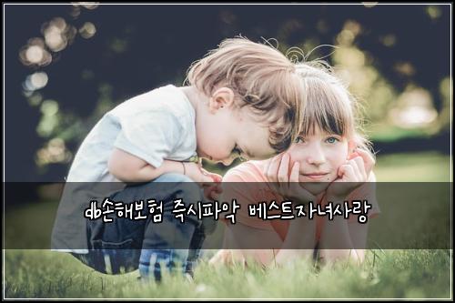 db์ํด๋ณดํ ์ฆ์ํ์
๋ฒ ์คํธ์๋
์ฌ๋