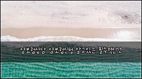 암보험상담 암보험신청 알고있는 필수적인것