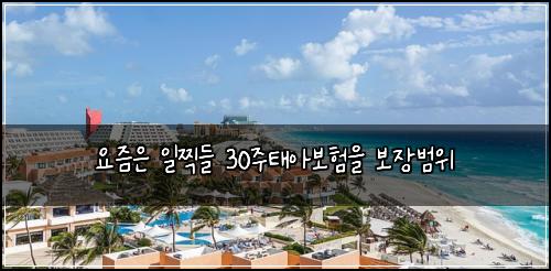 요즘은 일찍들 30주태아보험을 보장범위