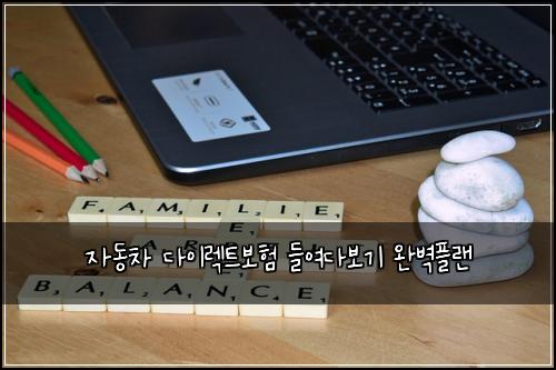 자동차 다이렉트보험 들여다보기  완벽플랜