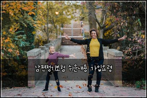 남편정기보험 쉬운내용  가입요령