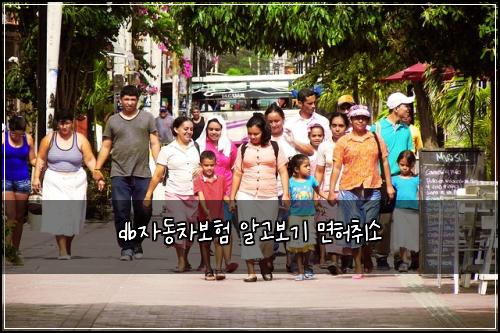 db자동차보험 알고보기  면허취소