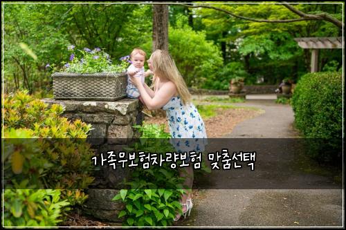 가족무보험차량보험 맞춤선택