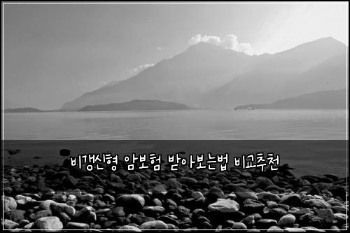 λΉκ°±μ ν μ보ν λ°μ보λλ² λΉκ΅μΆμ²