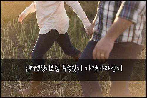 인터넷정기보험 특성찾기  가격따라잡기
