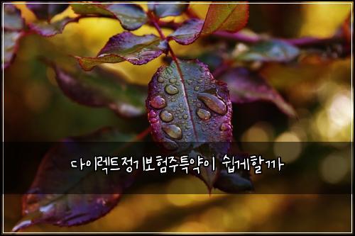 다이렉트정기보험주특약이 쉽게할까