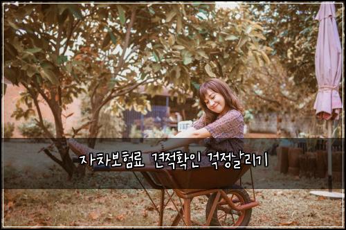 ์์ฐจ๋ณดํ๋ฃ ๊ฒฌ์ ํ์ธ ๊ฑฑ์ ๋ ๋ฆฌ๊ธฐ