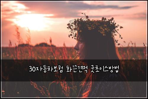 30μλ차보ν νλ견μ κ΅Ώμ΄μ΄μ€λ°©λ²