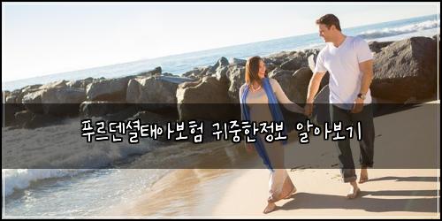 푸르덴셜태아보험 귀중한정보  알아보기