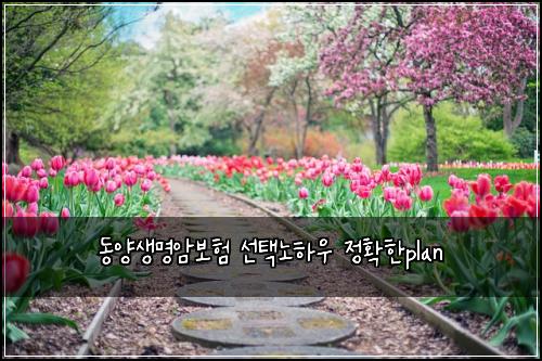 동양생명암보험 선택노하우  정확한plan