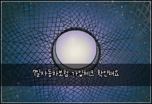 7일자동차보험 가입체크  확인해요
