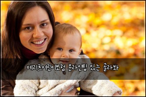 메리츠어린이보험 온라인팁  있는 골라봐