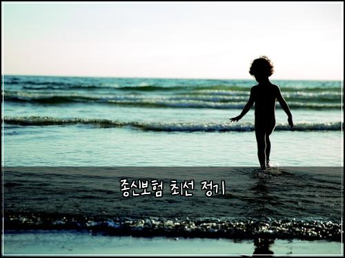 종신보험 최선  정기