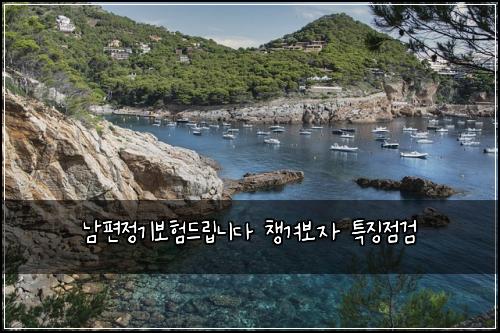 남편정기보험드립니다 챙겨보자 특징점검