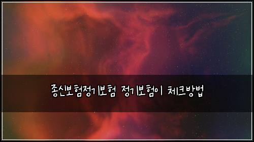 종신보험정기보험 정기보험이 체크방법
