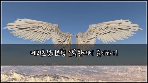 메리츠정기보험 신속한대비  준비하기