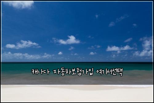 캐나다 자동차보험가입 여기서선택