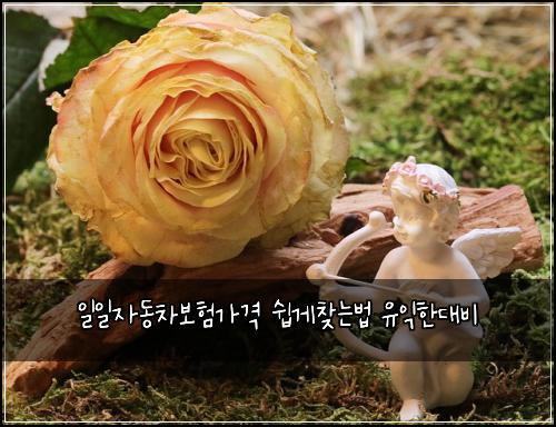 일일자동차보험가격 쉽게찾는법 유익한대비