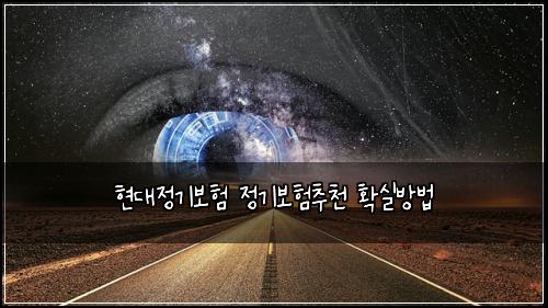 현대정기보험 정기보험추천 확실방법