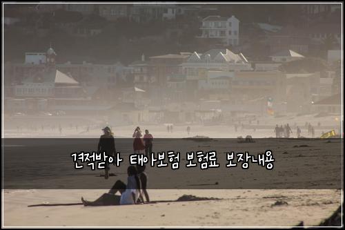 견적받아 태아보험 보험료 보장내용