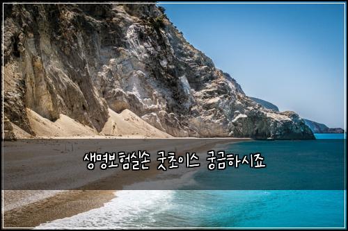 생명보험실손 굿초이스 궁금하시죠