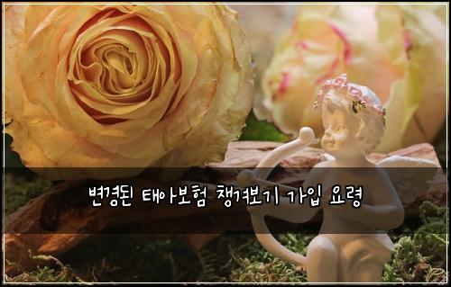 ๋ณ๊ฒฝ๋ ํ์๋ณดํ ์ฑ๊ฒจ๋ณด๊ธฐ ๊ฐ์
์๋ น