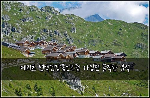 메리츠 변액건강종신보험 가입전 솔직한 분석
