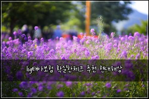 lig태아보험 확실한체크  추천 현대해상