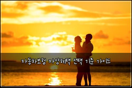 자동차보험 자상혜택 선택 기준 가이드