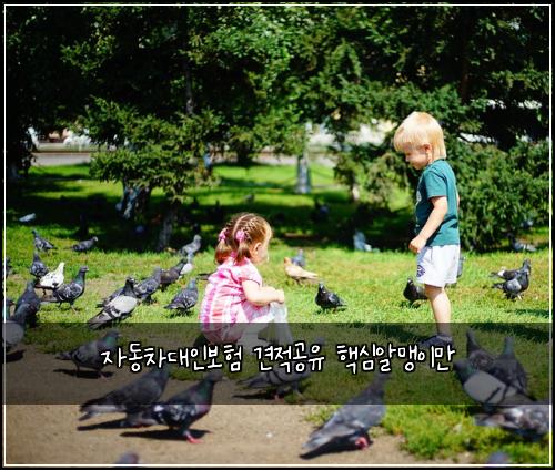 자동차대인보험 견적공유  핵심알맹이만