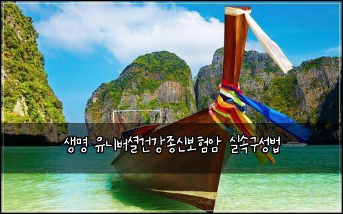 생명 유니버셜건강종신보험암 실속구성법
