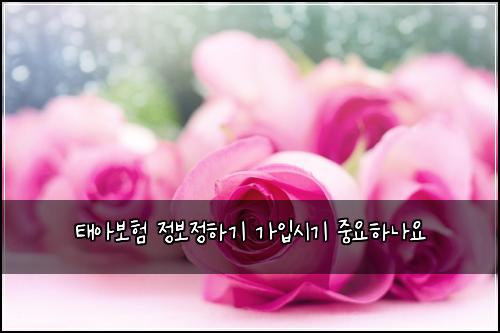 태아보험 정보정하기  가입시기 중요하나요