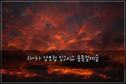 ๋ผ์ด๋ ์๋ณดํ ๋ฏฟ๊ณ ๋น๊ต ์ฉ์ข
์ ์ ์