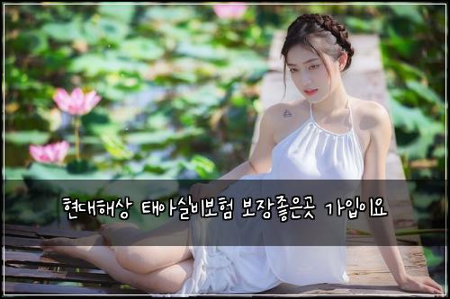 현대해상 태아실비보험 보장좋은곳  가입이요