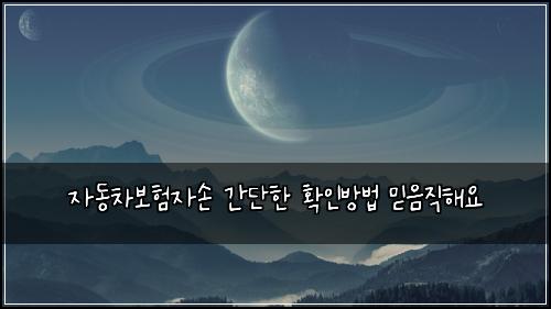 자동차보험자손 간단한 확인방법 믿음직해요