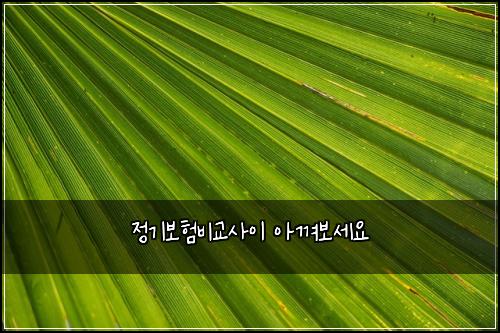 정기보험비교사이 아껴보세요
