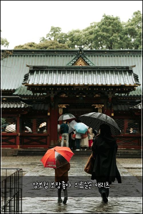 암보험 보장좋아  의료실손 매리츠