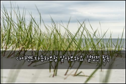 λ€μ΄λ νΈμλ차보ν μμ보μμ κ²°μ μ νλ