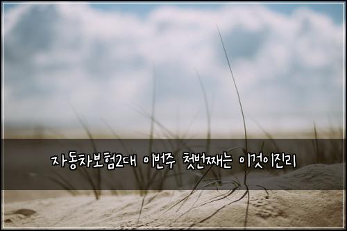 자동차보험2대 이번주 첫번째는 이것이진리