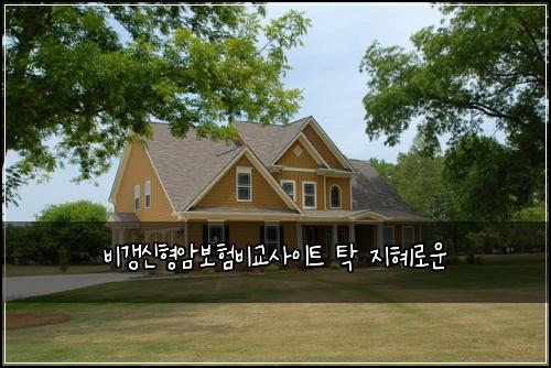 비갱신형암보험비교사이트 탁 지혜로운