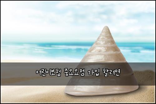 어린이보험 중요요점  가입 할려면