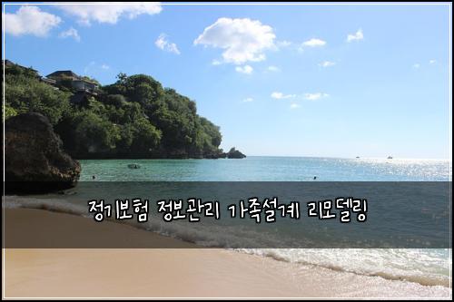 정기보험 정보관리  가족설계 리모델링