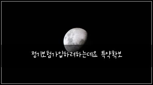 정기보험가입하려하는데요 특약확보