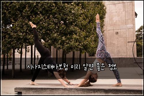 시나지스태아보험 미리 알면 좋은 정보